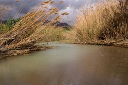 wind and water